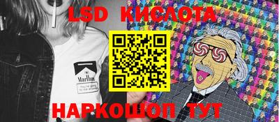 PSILOCYBIN Камышлов