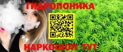 гашиш Кандалакша