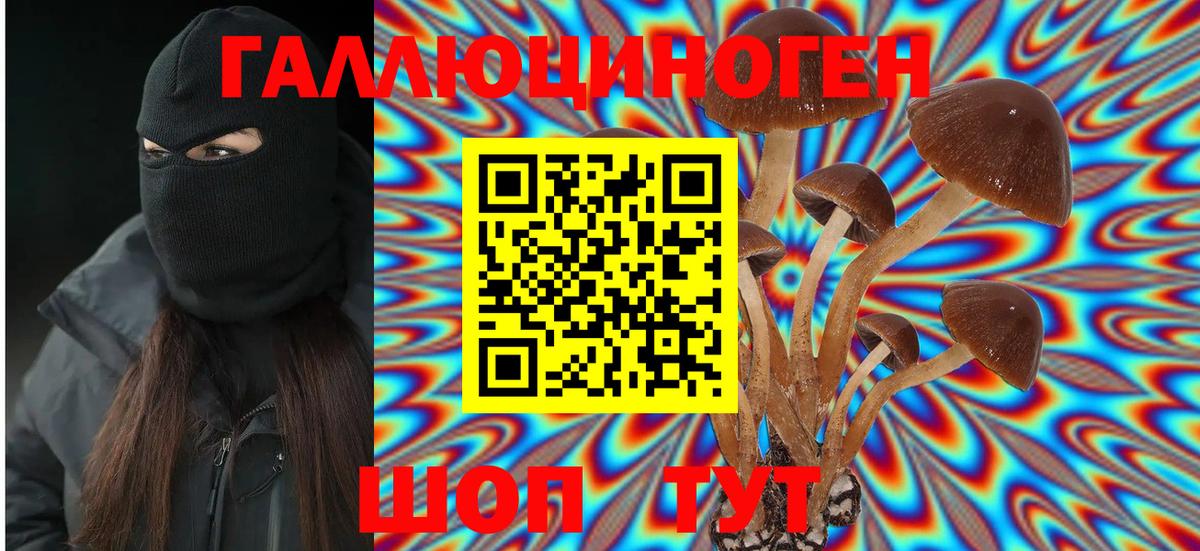 Галлюциногенные грибы мицелий Краснознаменск