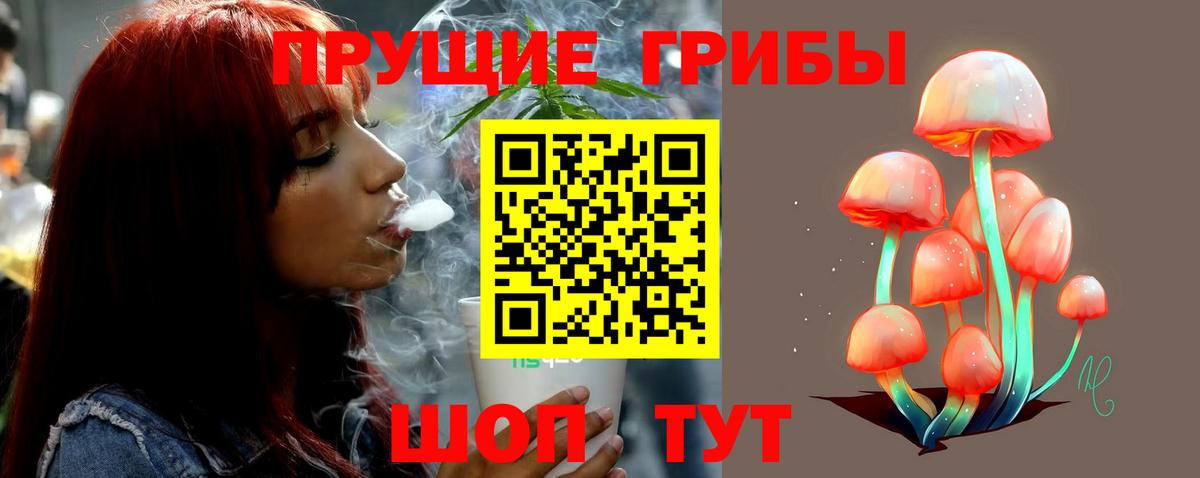 Псилоцибиновые грибы Psilocybine cubensis  Вход с VPN  Краснознаменск 